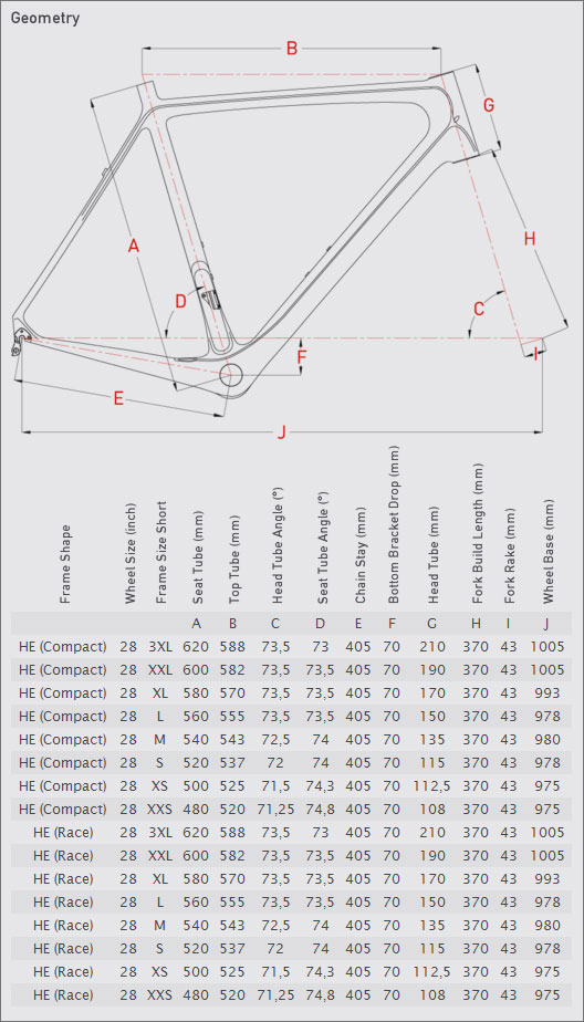 focus izalco size chart