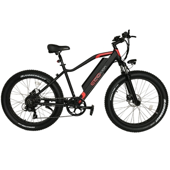 Ecomotion hot sale bike reviews